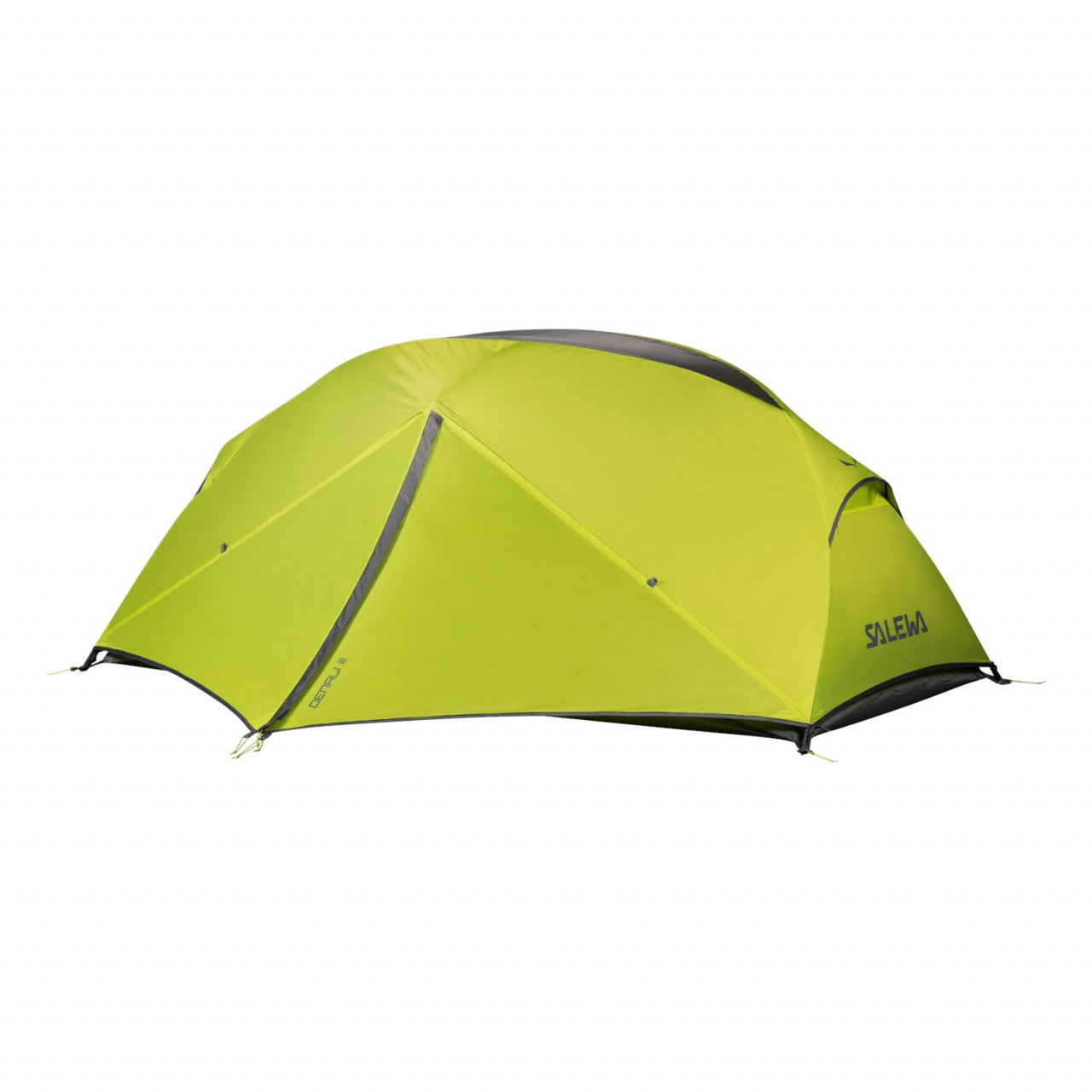 Tenda Salewa DENALI III Verdes/Cinzentas 954OXNBRE